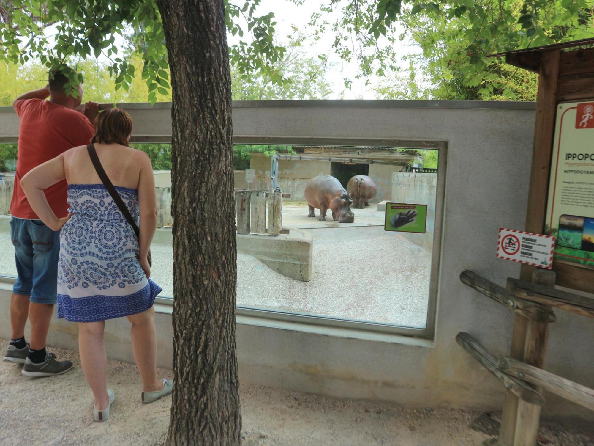 Casa Marina Daire Lignano Sabbiadoro Dış mekan fotoğraf